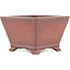 Pot à bonsaï carré non émaillé par Bigei - 97 x 97 x 64 mm