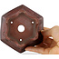 Maceta para bonsái hexagonal sin esmaltar de Bigei - 120 x 105 x 62 mm