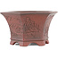 Pot à bonsaï hexagonal non émaillé par Bigei - 120 x 105 x 62 mm
