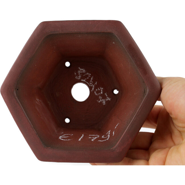 Pot à bonsaï hexagonal non émaillé par Bigei - 120 x 105 x 62 mm