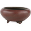 Round unglazed bonsai pot by Bigei - 50 x 50 x 22 mm