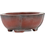 Mokko unglazed bonsai pot by Bigei - 63 x 49 x 21 mm