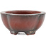 Mokko unglazed bonsai pot by Bigei - 63 x 49 x 21 mm