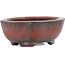 Mokko unglazed bonsai pot by Bigei - 63 x 49 x 21 mm