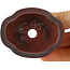 Maceta para bonsái Mokko sin esmaltar de Bigei - 63 x 49 x 21 mm