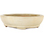 Ovale beige bonsaipot van Hattori - 224 x 167 x 50 mm