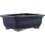 Rectangular blue bonsai pot by Hattori - 145 x 110 x 50 mm