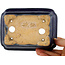 Pot à bonsaï rectangulaire bleu par Hattori - 145 x 110 x 50 mm