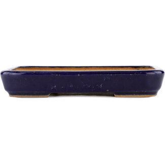  Hattori Tomoyuki 172 mm  blue bonsai pot by Hattori, Tokoname, Japan