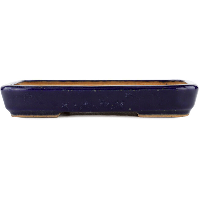 Vaso bonsai rettangolare blu di Hattori - 172 x 126 x 25 mm