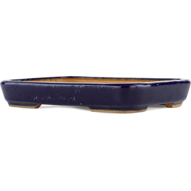 Rechteckiger blauer Bonsaitopf von Hattori – 172 x 126 x 25 mm