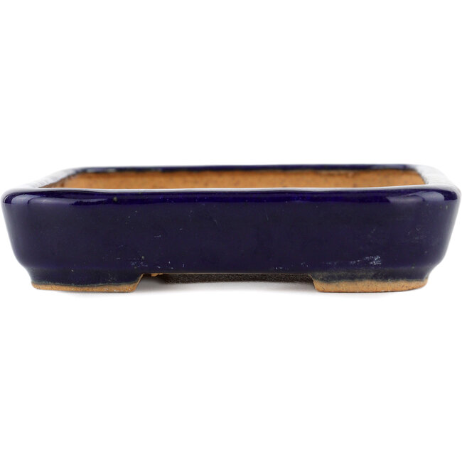 Rechteckiger blauer Bonsaitopf von Hattori – 172 x 126 x 25 mm