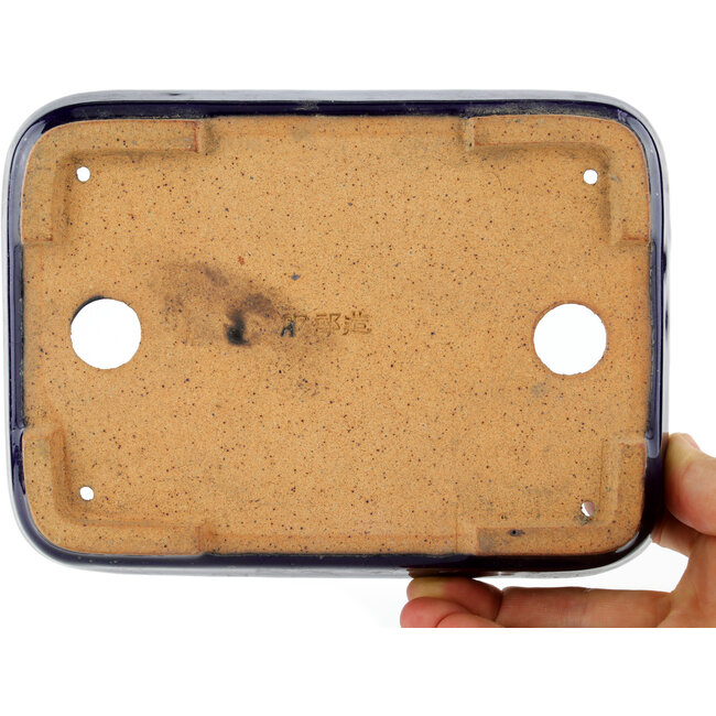 Pot à bonsaï rectangulaire bleu par Hattori - 172 x 126 x 25 mm