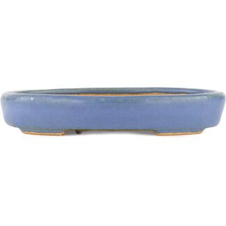  Hattori Tomoyuki Blauwe bonsaipot van 128 mm van Hattori, Tokoname, Japan