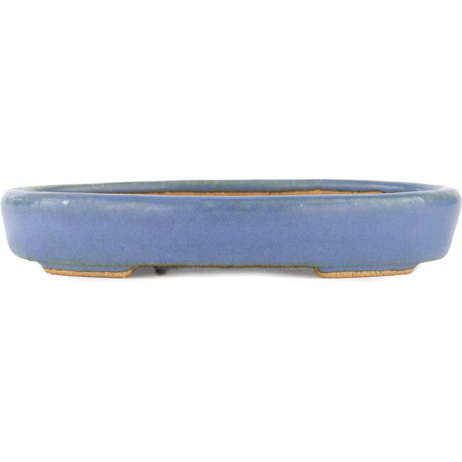 Ovaler blauer Bonsaitopf von Hattori – 128 x 100 x 21 mm