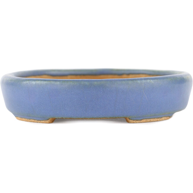 Maceta ovalada para bonsái azul de Hattori - 128 x 100 x 21 mm