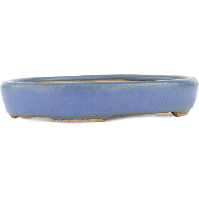 Maceta ovalada para bonsái azul de Hattori - 128 x 100 x 21 mm