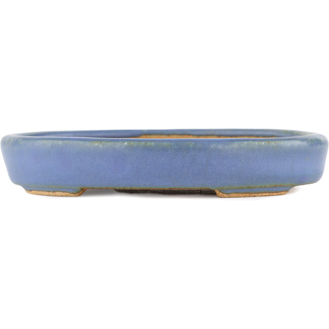 Ovale blauwe bonsaipot van Hattori - 128 x 100 x 21 mm