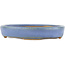 Oval blue bonsai pot by Hattori - 128 x 100 x 21 mm