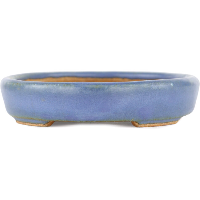 Oval blue bonsai pot by Hattori - 128 x 100 x 21 mm