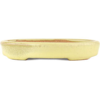  Hattori Tomoyuki 128 mm  yellow bonsai pot by Hattori, Tokoname, Japan