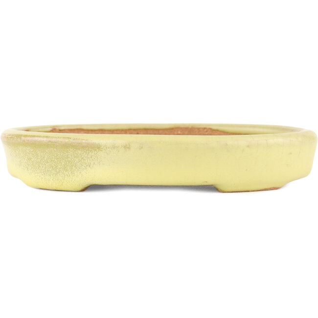 Maceta ovalada para bonsái amarilla de Hattori - 128 x 100 x 21 mm