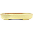 Oval yellow bonsai pot by Hattori - 128 x 100 x 21 mm