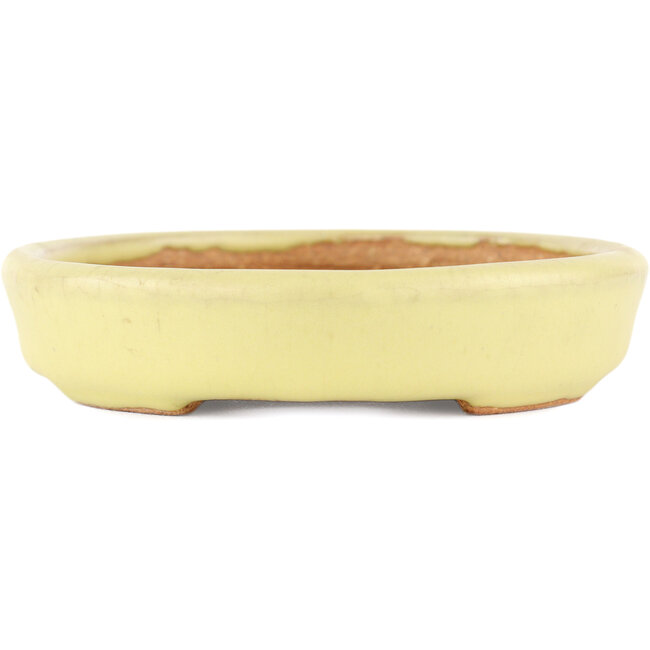 Vaso bonsai ovale giallo di Hattori - 128 x 100 x 21 mm