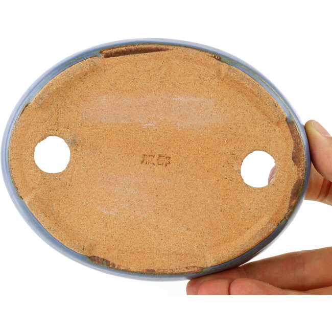 Pot à bonsaï ovale bleu par Hattori - 128 x 100 x 21 mm