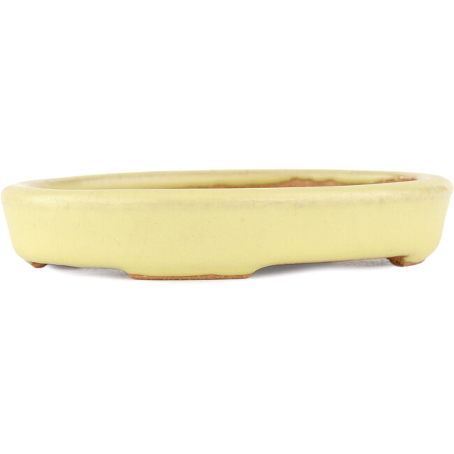 Oval yellow bonsai pot by Hattori - 128 x 100 x 21 mm