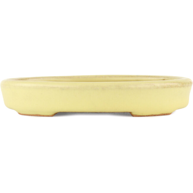 Oval yellow bonsai pot by Hattori - 128 x 100 x 21 mm