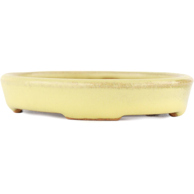 Vaso bonsai ovale giallo di Hattori - 128 x 100 x 21 mm