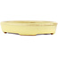 Oval yellow bonsai pot by Hattori - 128 x 100 x 21 mm