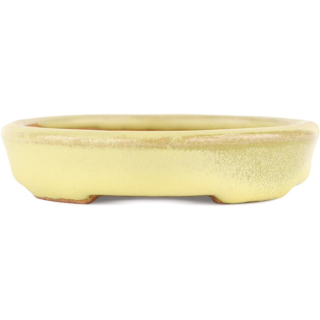 Oval yellow bonsai pot by Hattori - 128 x 100 x 21 mm