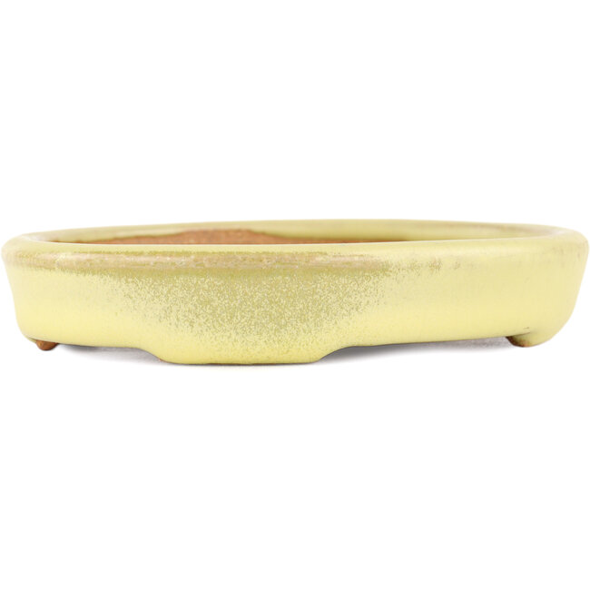 Ovale gele bonsaipot van Hattori - 128 x 100 x 21 mm