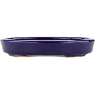  Hattori Tomoyuki 128 mm  blue bonsai pot by Hattori, Tokoname, Japan