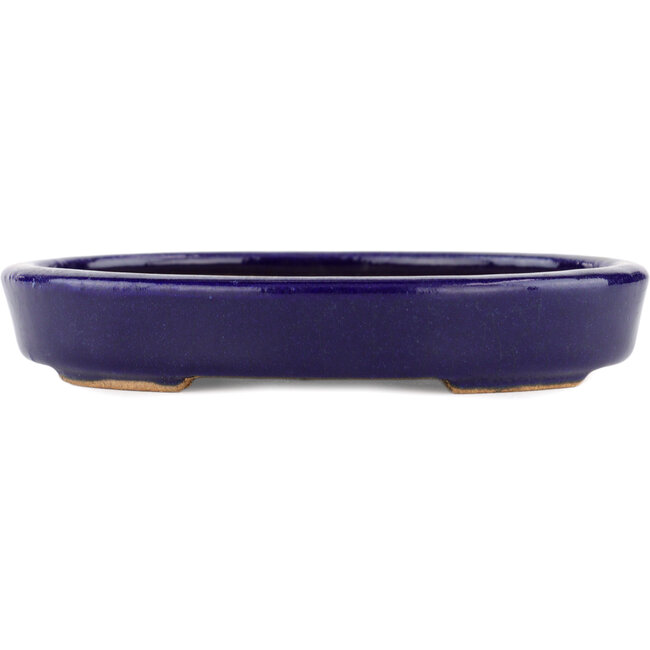 Maceta ovalada para bonsái azul de Hattori - 128 x 100 x 21 mm