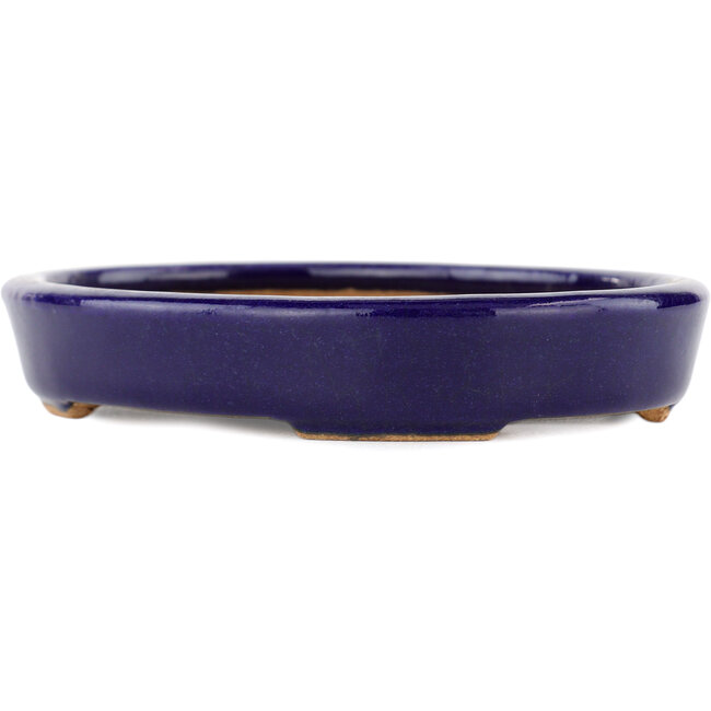 Ovaler blauer Bonsaitopf von Hattori – 128 x 100 x 21 mm