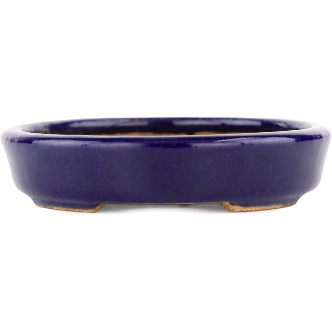 Maceta ovalada para bonsái azul de Hattori - 128 x 100 x 21 mm
