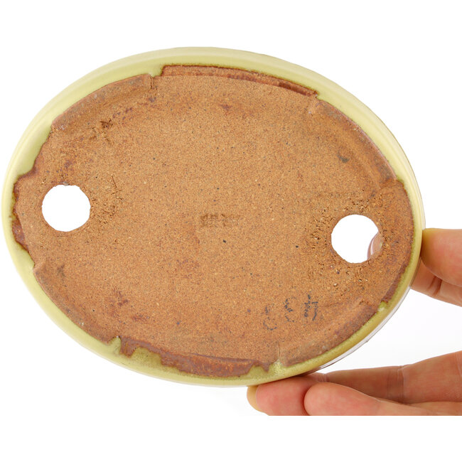 Maceta ovalada para bonsái amarilla de Hattori - 128 x 100 x 21 mm