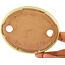 Maceta ovalada para bonsái amarilla de Hattori - 128 x 100 x 21 mm