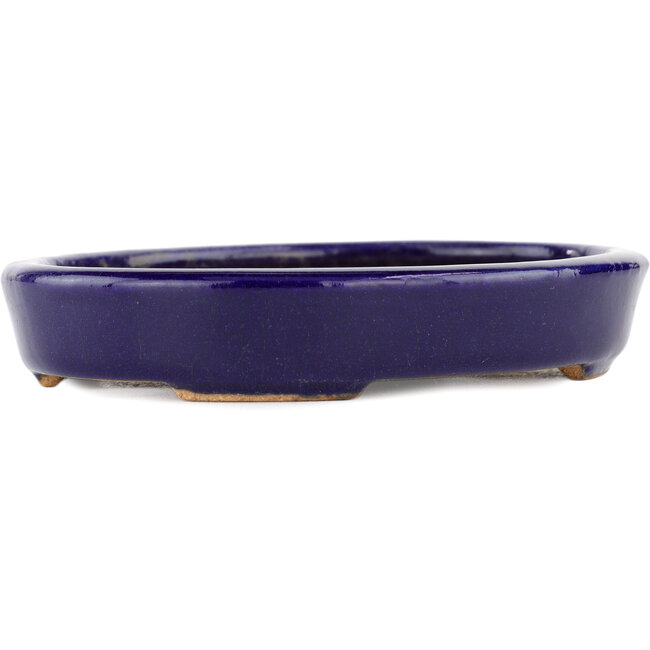 Oval blue bonsai pot by Hattori - 128 x 100 x 21 mm