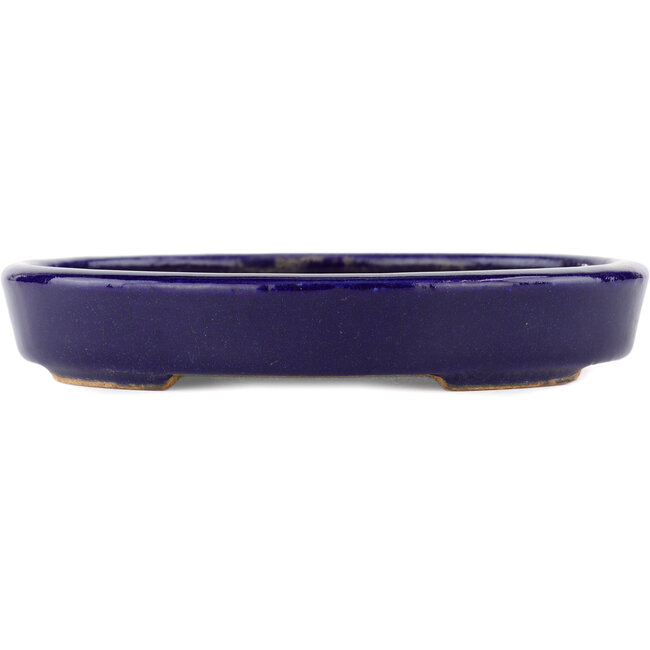 Maceta ovalada para bonsái azul de Hattori - 128 x 100 x 21 mm