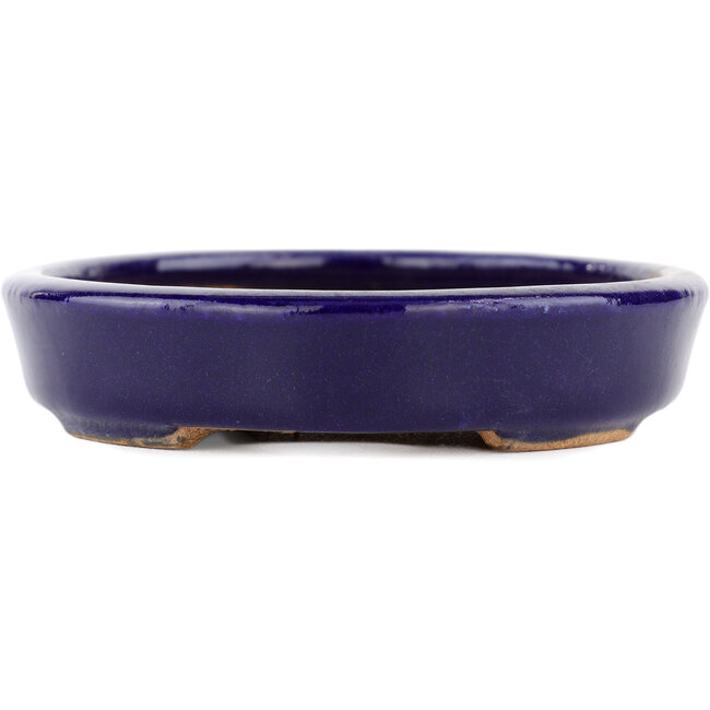 Pot à bonsaï ovale bleu par Hattori - 128 x 100 x 21 mm