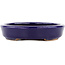 Ovaler blauer Bonsaitopf von Hattori – 128 x 100 x 21 mm
