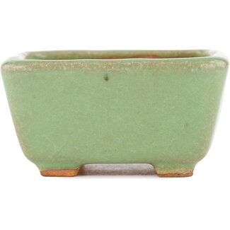  Hattori Tomoyuki Groene bonsaipot van 91 mm van Hattori, Tokoname, Japan