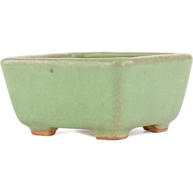 Maceta cuadrada para bonsái verde de Hattori - 91 x 91 x 46 mm