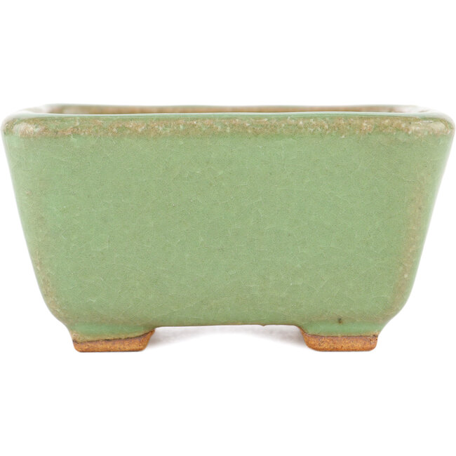 Quadratischer grüner Bonsaitopf von Hattori – 91 x 91 x 46 mm