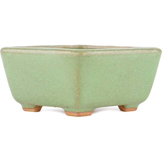 Quadratischer grüner Bonsaitopf von Hattori – 91 x 91 x 46 mm