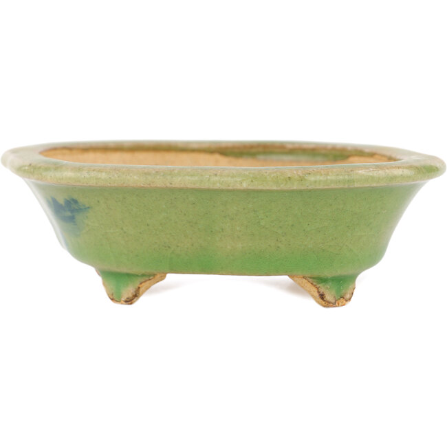 Mokko grüner Bonsaitopf von Hattori – 131 x 112 x 35 mm